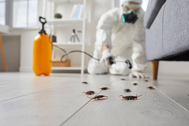 Commercial Kitchen Cockroach Control in Kahoka